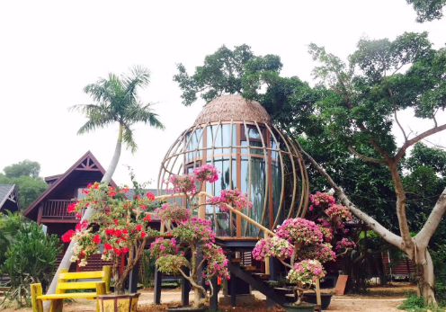 5d91668206790.png image.png