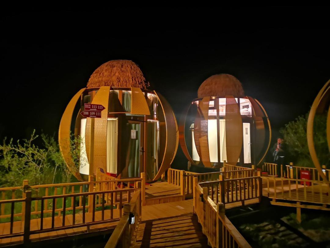 5e421925d391d.jpg 5e421925d391d.jpg